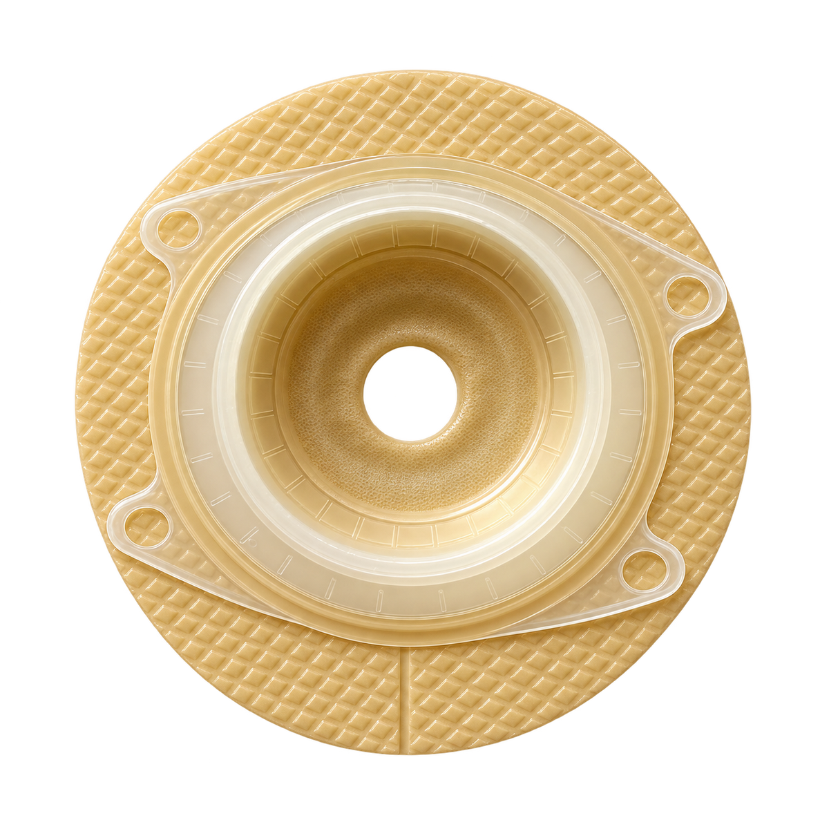 MED Deep Convex Base Plate 60mm